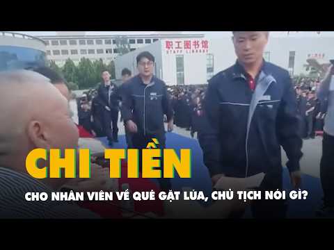 Chi 20 tỉ đồng cho nhân viên về quê gặt lúa, Chủ tịch nói gì? thumbnail