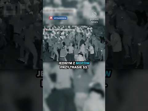 Zatrzymano 30 pseudokibiców Lecha Poznań i Pogoni Szczecin. W tle bójka na S3 thumbnail