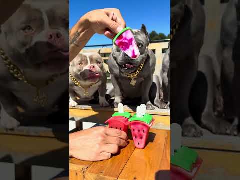 Picolé de Frutas Vermelhas 🐾🤩 thumbnail