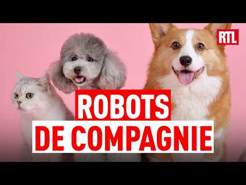 Les premiers robots animaux de compagnie mis en vente par SwitchBot ! thumbnail
