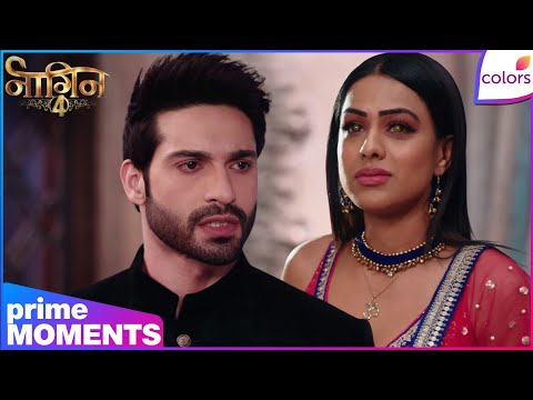 Naagin S4 | Highlights | Ep. 21 | Dev’s Heartbreak! Brinda Invites Her Ex Rajat | Colors TV thumbnail