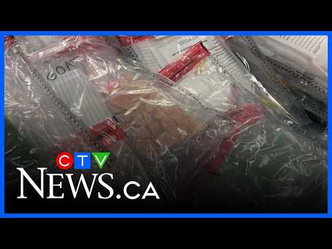 Winnipeg police execute Manitoba's largest drug bust, valued at over $37M thumbnail
