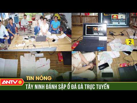 Triệt xóa đường dây tổ chức đá gà trực tuyến ở Tây Ninh, giao dịch hàng chục tỷ đồng | ANTV thumbnail