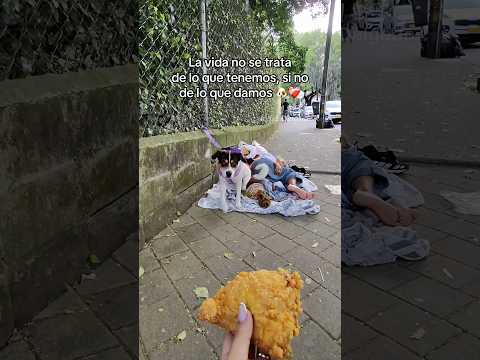 Por varios días no volverán a dormir en las calles 🐶❤️‍🩹 #dog #perros #perro thumbnail