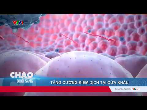 WHO báo động khẩn về Ebola ở châu Phi, Việt Nam tăng giám sát cửa khẩu | VTV24 thumbnail