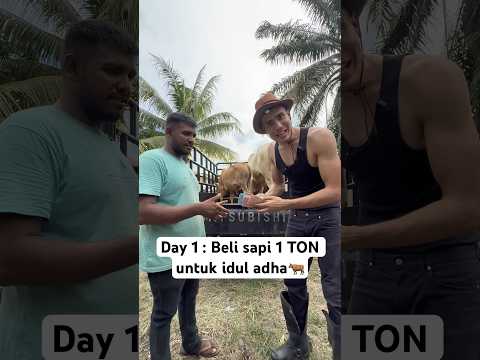 Day 1 : Beli sapi qurban 1 TON 100 juta🔥 #aisarkhaled #iduladha #qurban thumbnail