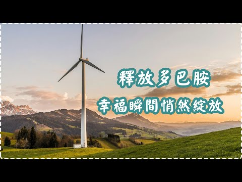 釋放多巴胺 幸福瞬間悄然綻放【1小時】Soothing Music, Relaxing Music thumbnail
