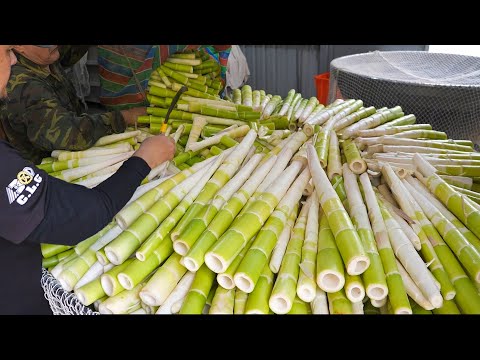 How to Process Fresh Bamboo Shoots, Bamboo Tube BBQ! / 桂竹筍採收與加工過程, 傳統竹筒飯製作 - Taiwanese Food thumbnail