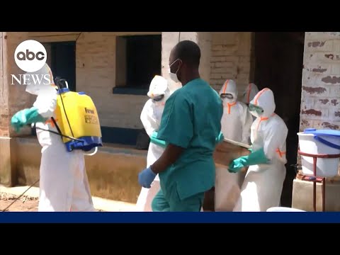 Doctor in Congo says Ebola outbreak is ‘completely out of control’ thumbnail