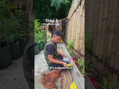 ASMR DEEP CLEANING KANDANG AYAM thumbnail