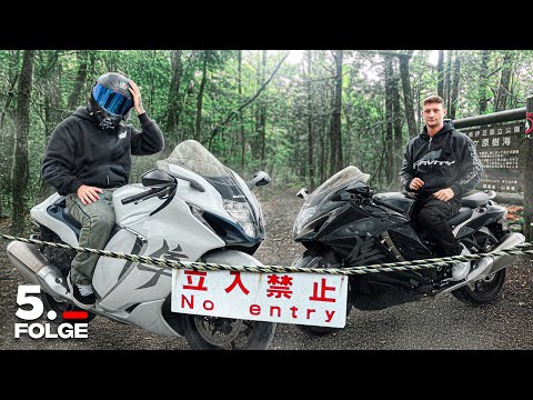 Die große Japan Tour | Wir fahren in Suicide Forest thumbnail