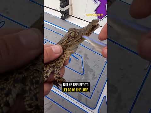 Fisherman Accidentally Brings a Crocodile Onto His Boat 😱 thumbnail