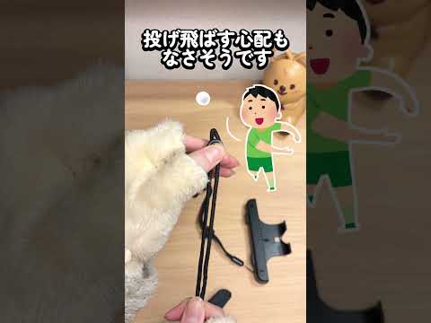 【スイッチ2】このグリップは使えるのか？【Nintendo Switch 2】 thumbnail