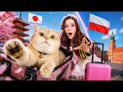PIPI MUSI WRACAĆ DO POLSKI!! thumbnail