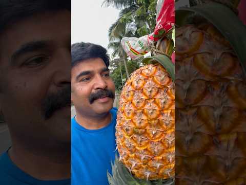 Fruits and vegetables from farm | Thodupuzha thumbnail
