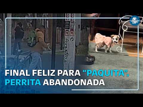 Abandonan a perrito en plena calle de Tijuana y una pareja lo rescata thumbnail
