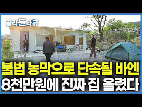 단속 걱정 없는 진짜 집을 단돈 8천만 원에 해결했더니 생긴 일｜폐축사 뷰 땅을 300평 정원으로 가꾸는 부부의 인생 이막｜건축탐구 집｜#골라듄다큐 thumbnail