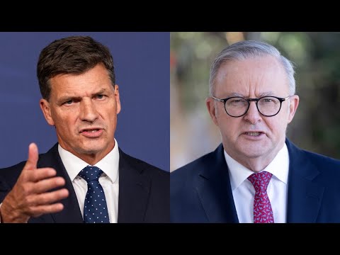Angus Taylor calls Albanese an 'arrogant prick' over CGT changes thumbnail