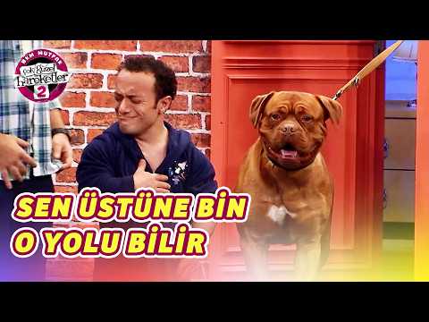 Kim Kimi Gezdirecek (77.Bölüm) - Köpeğin Olurum thumbnail