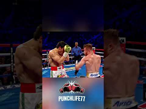 canelo alvarez vs chavez jr thumbnail