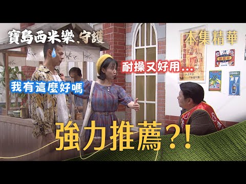 【寶島西米樂 守護】EP254 彩鳳幫汪龍爭取工作，優點講好講滿，直接誇到他害羞了？！ | 台視八點檔年度大戲 | FORMOSA SEBIRO thumbnail