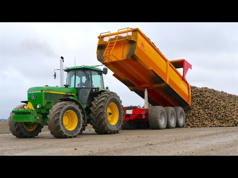 John Deere 4755 w/ Open Pipe & Vervaet Hydro Trike | Carting Sugar Beet @ Goense Farms | Pure Sound! thumbnail