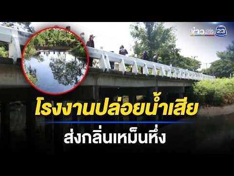โรงงานปล่อยน้ำเสีย ส่งกลิ่นเหม็นหึ่ง | ชงข่าวเขย่าไลฟ์ | 29 พ.ค. 69 thumbnail