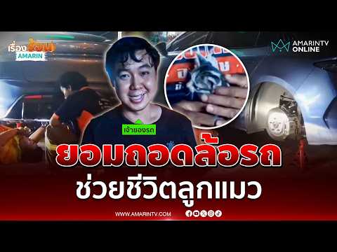 หนุ่มสั่งถอดล้อรถไฟฟ้าหรูทันที ช่วยชีวิตลูกแมวร้องระงมใต้ท้องรถ | เรื่องร้อนอมรินทร์ thumbnail