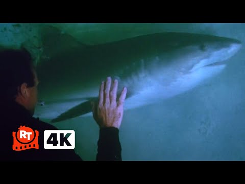 Thunderball (1965) 4K - Deadly Shark Fight (6/10) | Movieclips thumbnail