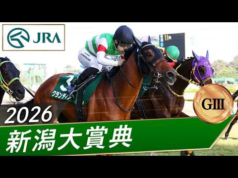 2026年 新潟大賞典（GⅢ） | グランディア | JRA公式 thumbnail