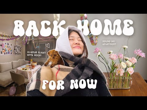 I left my life in the U.S. and moved back home thumbnail