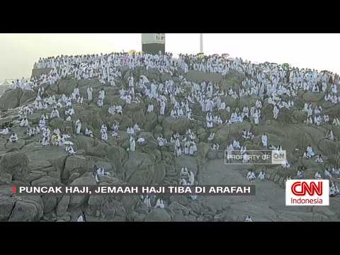 LIVE Jemaah Haji Tiba di Arafah untuk Wukuf thumbnail