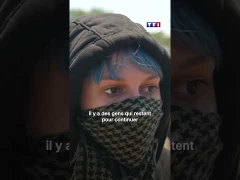 1500 personnes rassemblées sur un terrain d'une éleveuse de chevaux pour une rave party｜TF1 INFO thumbnail