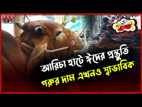 মানিকগঞ্জের ঐতিহ্যবাহী হাটে জমে উঠছে কোরবানির বাজার | Manikganj | Cow | Dam Koto | Somoy TV thumbnail
