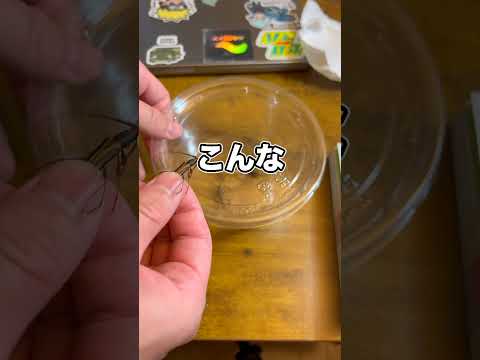カミキリムシが家の中で大量発生してるんだけど！！！！！！！！ thumbnail