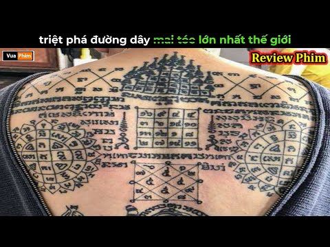 triệt phá đường dây mai té lớn nhất thế giới thumbnail