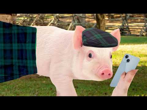 RETURN OF THE PIGGE thumbnail