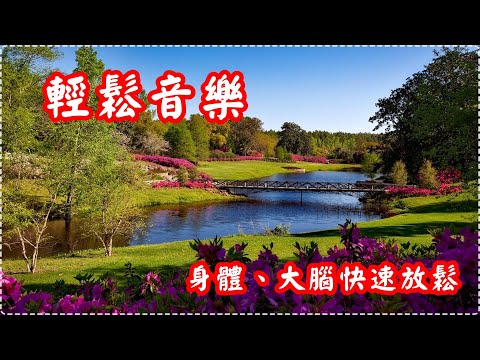 輕鬆音樂 心靈雞湯【1小時】有助多巴胺分泌 放鬆、舒緩、休息 Relaxing Music, Soothing Music thumbnail