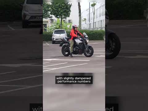 Hayabusa's Naked Twin; Suzuki B-King thumbnail