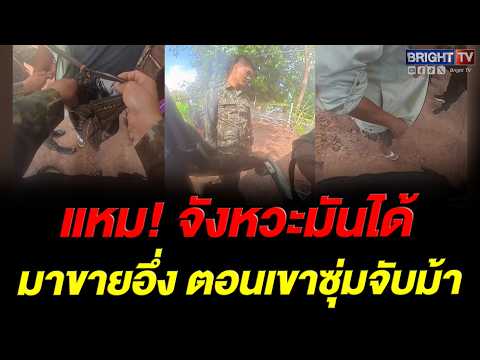 จอดเลยอ้าย! จนท.ดักจับคนขายม้า หนุ่มแก้ตัววุ่น ผมมาขายอึ่ง thumbnail