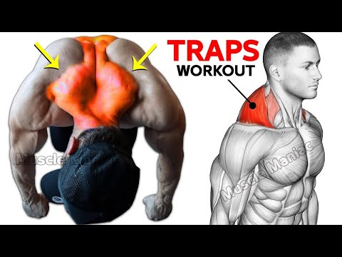 Build Massive Traps Fast 💥 Best Exercises for Bigger Trapezius thumbnail