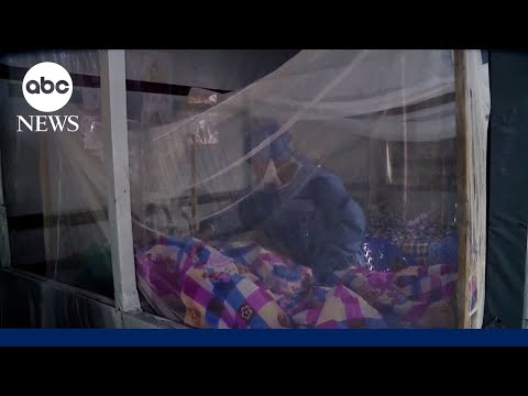 Two possible Ebola cases reported in Brazil thumbnail