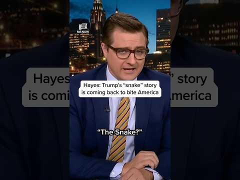 Hayes: Trump’s 'snake' story is coming back to bite America thumbnail