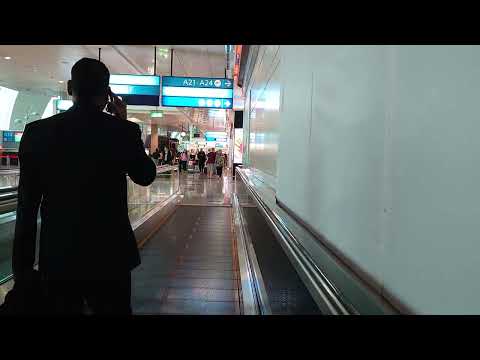 United Arab Emirates, Dubai International Airport, 1X moving sidewalk thumbnail