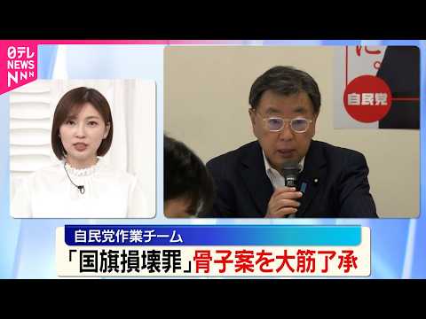 【国旗損壊罪】自民党作業チーム  骨子案を大筋了承  アニメ･ゲームなど創作物は除外 thumbnail