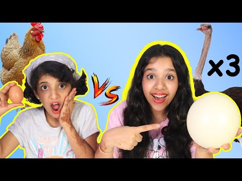 تحدي أكل بيضة نعامة عملاقة بوزن كيلوين تقريبا ضد بيضة العادية ! thumbnail