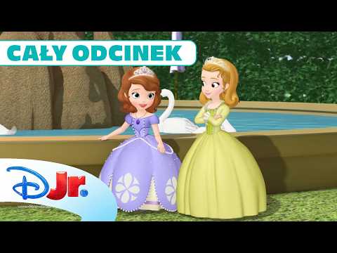 🫖🍵 Podwieczorek marzeń | Jej Wysokość Zosia | Disney Junior Polska thumbnail