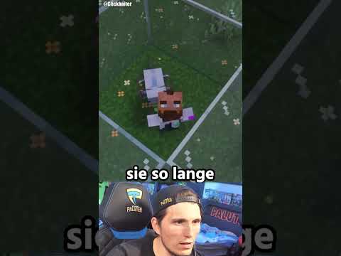 Kanntet ihr diese Fakten in Minecraft? thumbnail