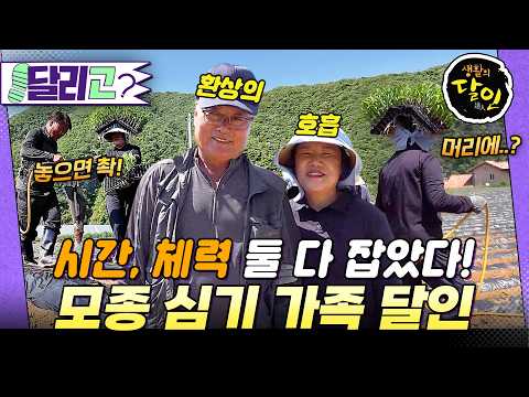 [🏃‍️#달리GO] 밭 30개를 뛰어다니는 가족😮 모종 심기의 달인 등장! #생활의달인 #달리 #DALI thumbnail