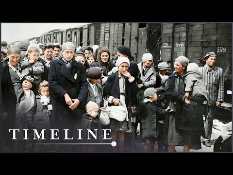 What Were The Final Months Inside Auschwitz-Birkenau Like? thumbnail